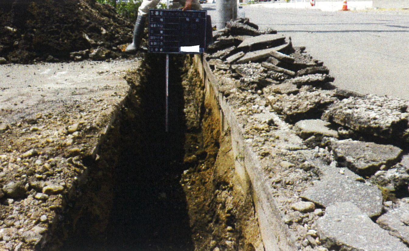 kussakutyousa houkoku 01